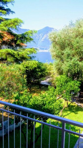 Dobrota Guest House